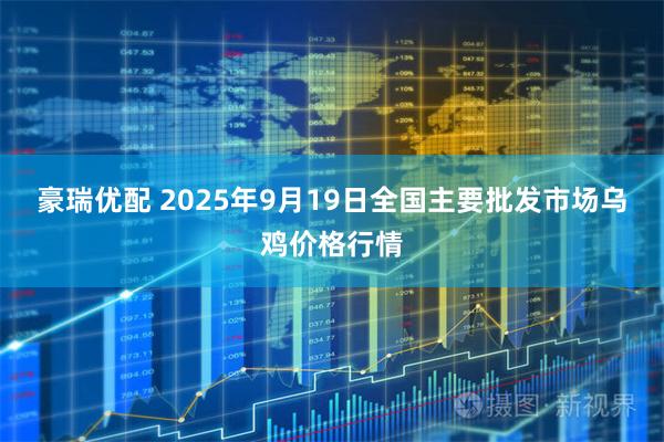豪瑞优配 2025年9月19日全国主要批发市场乌鸡价格行情