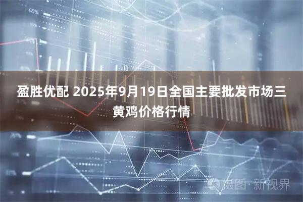 盈胜优配 2025年9月19日全国主要批发市场三黄鸡价格行情