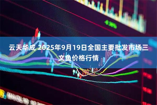 云天华成 2025年9月19日全国主要批发市场三文鱼价格行情