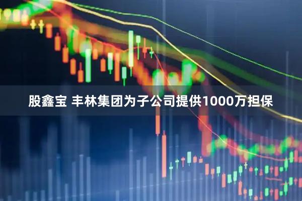 股鑫宝 丰林集团为子公司提供1000万担保