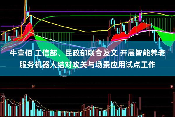 牛壹佰 工信部、民政部联合发文 开展智能养老服务机器人结对攻关与场景应用试点工作