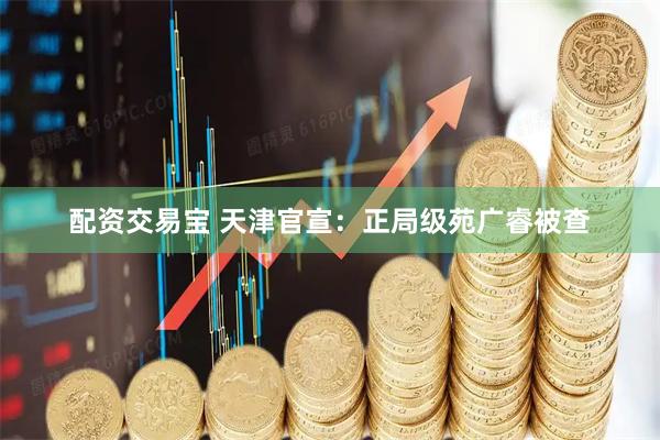 配资交易宝 天津官宣：正局级苑广睿被查