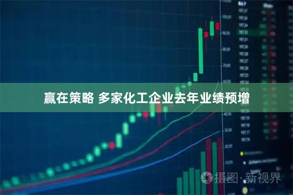 赢在策略 多家化工企业去年业绩预增