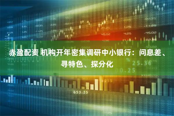 赤盈配资 机构开年密集调研中小银行：问息差、寻特色、探分化