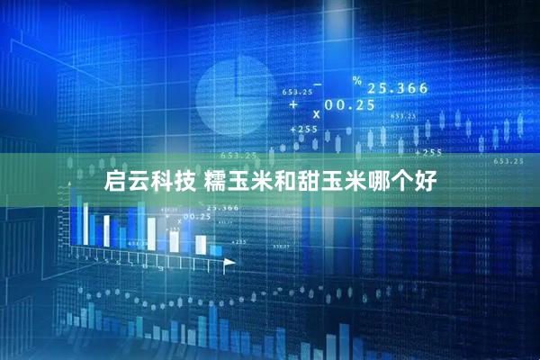 启云科技 糯玉米和甜玉米哪个好