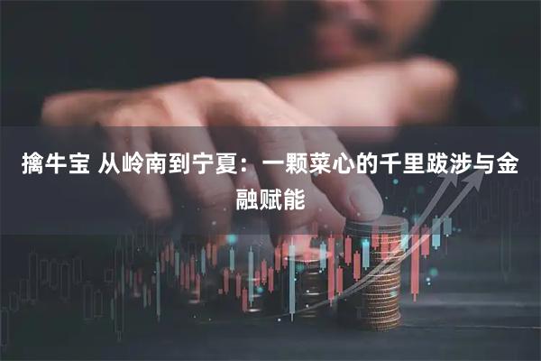 擒牛宝 从岭南到宁夏：一颗菜心的千里跋涉与金融赋能