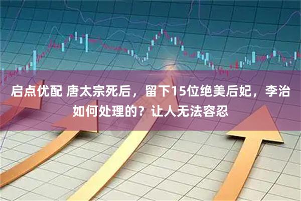 启点优配 唐太宗死后，留下15位绝美后妃，李治如何处理的？让人无法容忍