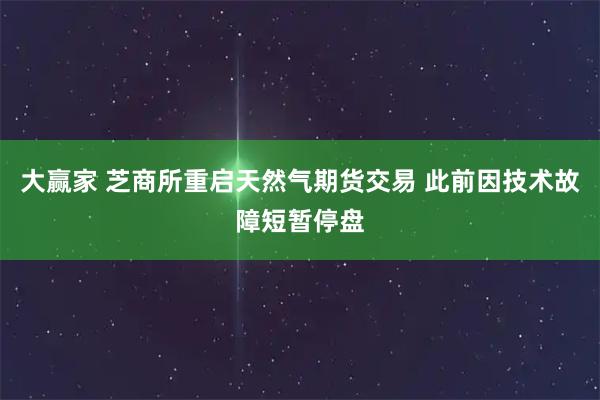 大赢家 芝商所重启天然气期货交易 此前因技术故障短暂停盘