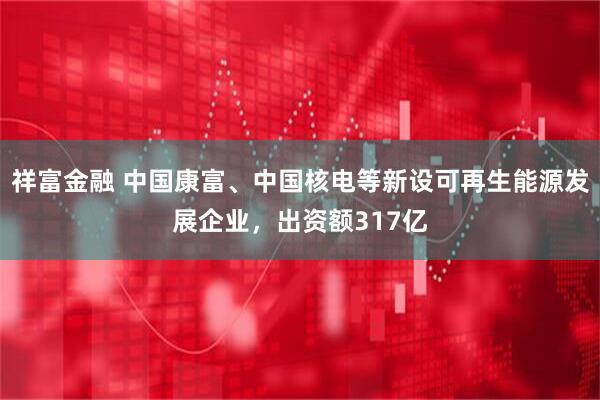 祥富金融 中国康富、中国核电等新设可再生能源发展企业，出资额317亿