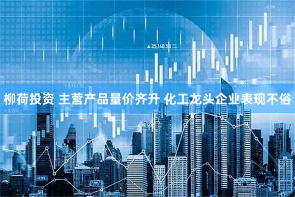 柳荷投资 主营产品量价齐升 化工龙头企业表现不俗